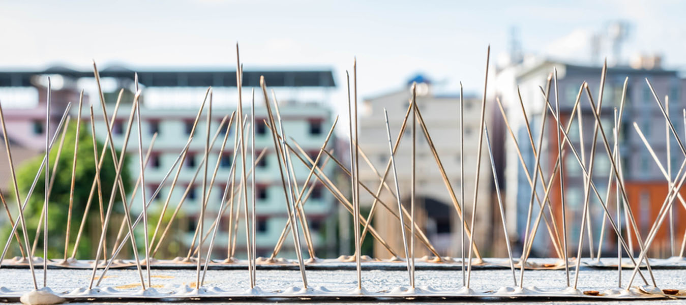 Balcony Safety Nets in Thiruvananthapuram